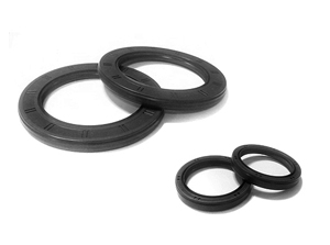 Crank Shaft Seal