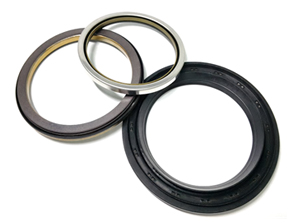 Hub Bearing Seal